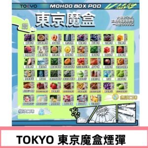 TOKYO MOHOO BOX東京魔盒煙彈可替換式電子煙|日本熱銷品牌